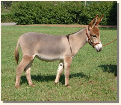 Wit's End Miss El-Leigh