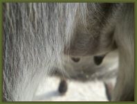 Raven's bag on 12/03/10