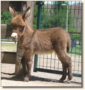 Click photo to enlarge image