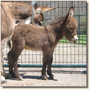 Click photo to enlarge image