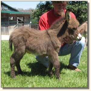 Click photo to enlarge image