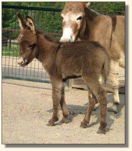 This Bud's For U, aka Buddy