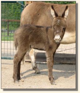 This Bud's For U, aka Buddy