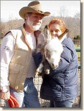 Wit's End Chips Ahoy, Bob, & Sandy