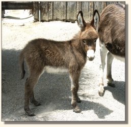 Wit's End Win One for the Gipper