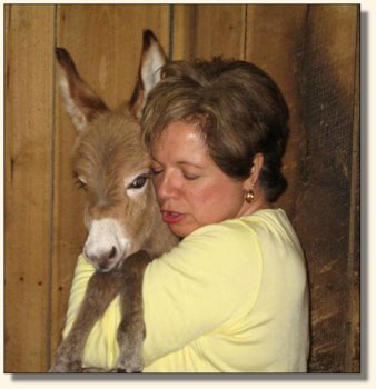 Wit's End Hoof Prince