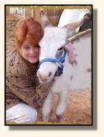 Our gelding, Jo Jo, & Sandy (6966 bytes)