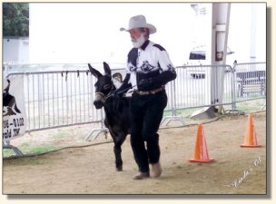 Komotion & Bob in Trail