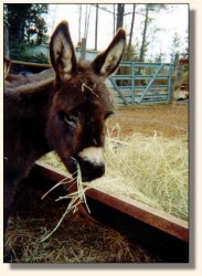 Star says, 'mmmmmm'.