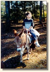 Maddie & Tyler love to trail ride best.