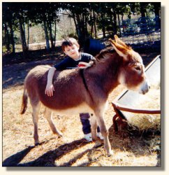 Maddie enjoys a rub down after her workout.