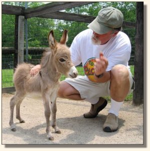 Wit's End Mayzie Day