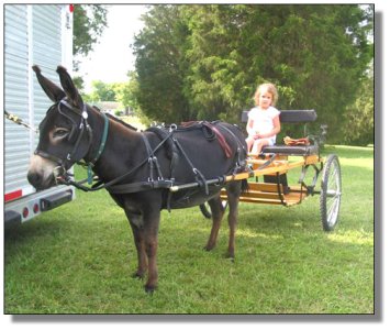 Franchesca - Future Driver!