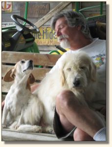 Rosie, Bob, and Ollie