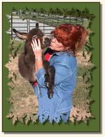 Half Ass Acres Sophia Bandito & Sandy (8448 bytes)