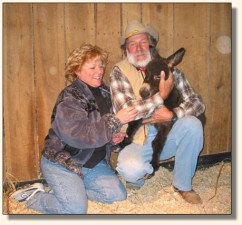 Laura Musgrave & Wits End Princess Shy-Anne