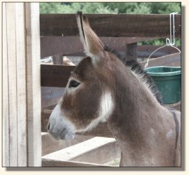 Summer June 20th, 2004