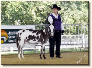 Tennessee State Fair