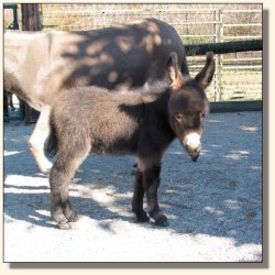 Wit's End Track Favorite