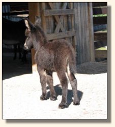 Wit's End Track Favorite