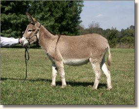 My World Zena Warrior Princess