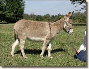 My World Zena Warrior Princess