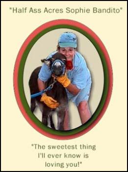 Half Ass Acres Sophie Bandito!